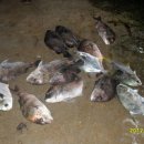 k3바다낚시터 이미지