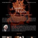 제166회 정기연주회 이미지