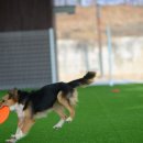 (주)펫월드 이미지