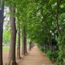 경의선숲길 이미지