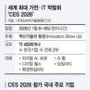 명품 파이낸셜뉴스