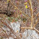 한덕농장 이미지