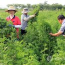 산수리농장 이미지