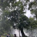 소용공원 | 치앙마이 투어 추천 도이인타논 국립공원 트래킹 2시간 내돈내산 후기