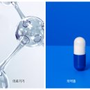 바이오엘앤씨 네이버블로그