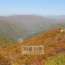 구룡령 옛길 이미지