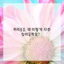 플러스마취통증의학과의원 네이버블로그