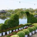 서동선화 한옥 이미지