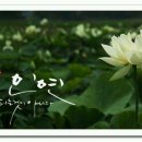 달사과마을 이미지