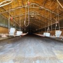 마산리목장 이미지