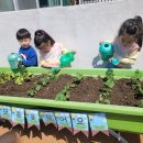 승학어린이집 이미지