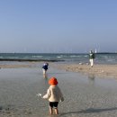 꿈돼지한돈 영농조합법인 | [제주] 세돌 아기랑 3박4일 제주여행 일정 코스 (렌트카, 추천맛집, 카페, 가볼만한곳, 기념품 총정리)