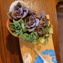 주월1동 행정복지센터 이미지