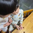 옥스푸드 | 남녀노소 가볍게 즐기는 간편간식 민뚜르 마카다미아 옥스옥스 후기:))