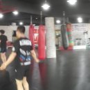 포항이종격투기 이미지