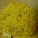 초코네 애견샵 이미지