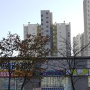장천세탁소 네이버블로그