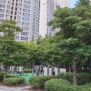 레전드포레어린이집 이미지