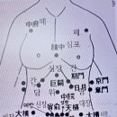 제 18탄 : 병의 근원과 원인을 모르는 병을 알아내고 치료하는 법 이미지