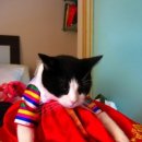 편하고 고급진 분당 테힐라 한복 추천(바실리움신부면 추천하고픔)