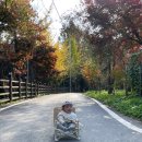 (주) 리베도