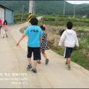 서부사슴농장 이미지