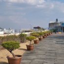 세종시 정부종합청사 옥상정원 ...........청주고33산오름 이미지