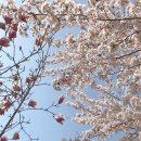 썬에이블 | 봄여름 필수템˚⁎⁺˳✧༚ 맑은 피부 | 도도에이블 톤업 선 스프레이 리얼 후기