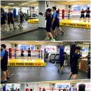 원펀치복싱클럽 이미지