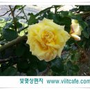 2013.05.30 인성을 바르게 생활을 즐겁게 - 율원초등학교 빛명상 인성예절교육 이미지