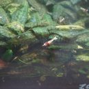 별빛수족관 이미지