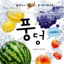 여름 그림책 놀이 이미지