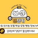 댕댕카 네이버블로그