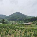 초천4리 이미지