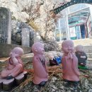 한길주유소 | [#85] 양산 천성산(비로봉) 혼산(24-1109/토) ~ 미타암-원적봉-잔치봉-헤맴- 비로봉-내원사