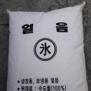 대한얼음