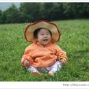 상관목장 이미지