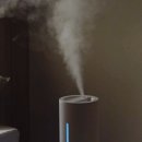 (주)메이드 | 아이 비염 때문에 들인 에어메이드 가열 살균 가습기, 내돈내산 후기