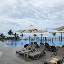 이문영 행정사사무소 이미지