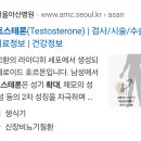 현대그룹 정주영=서울아산병원 sk하이닉스 설립 테스토스테론 둘레들이다 이미지