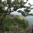 남해조경농원 이미지