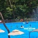 송산리 속시원한내과 앞 | 숙소 추천] 속리산 숲체험휴양마을 통나무집 2박 3일 내돈내산 후기 (수영장, 식사, 아이와 가볼만한곳)