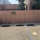 돼지의품격 | 제주 연동 흑돼지 맛집에서 맛보고 온 흑돼지의 품격, 연동 돗담 흑돼지