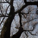 (주)나무연구소 이미지