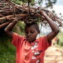 바이오프로젝트 이미지