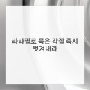 라라스킨 이미지