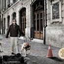 못된강아지 이미지