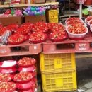 숲속의과수원