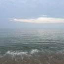 낙산바다이야기 이미지