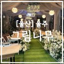 신기노인정 | [울산] 울주 그림나무 울산 대형 카페 방문 후기